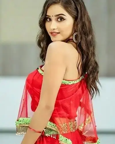 Call Girls Service Ambad